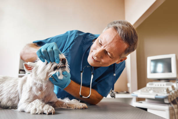 Best Emergency Dental Extractions in Lodi, NJ